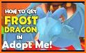 Frost Dragon In Adopt Me Jungle related image