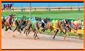 Dog Race related image