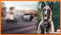 US Police Security Dog Chase related image