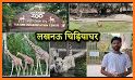 Zoo Lucknow related image