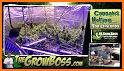 Grow Boss related image