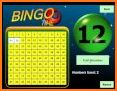 My Bingo Life related image