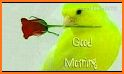 Good Morning Photo Frame related image