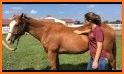 Healthy Horse - Determining a horse’s body weight related image