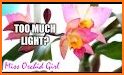 Pink Orchid Light Watch Face related image