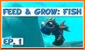 Walkthrough Fish and grow underwater related image