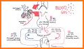 Arterial Blood Gas Interpreter related image