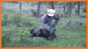 Wild Boar Hunting Calls related image