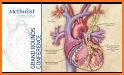 Vascular Anaesthesia related image