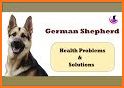 Dog health related image