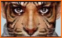 Art Animal Face Photo Editor related image