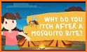 Mosquito related image