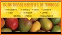 Mango health benefits related image