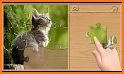 Animal Puzzle & Jigsaw related image