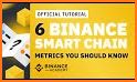 Binance Smart Chain Explorer related image