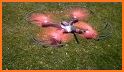 SkyThunder RC FPV related image