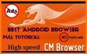 Web Browser-Ad Blocker,Fast Download,Privacy Space related image