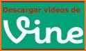 Vinvid Downloader for Vine related image