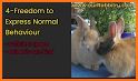 Rabbit Farm management app for Rabbit Breeders related image