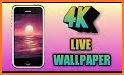 Live Wallpapers 4K Backgrounds HD,3D - Walper related image