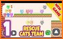 Rescue Cats Team related image