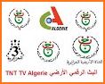 Algerie TV - القنوات الجزائرية related image