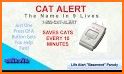 Cat Alert related image