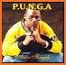 Punga related image