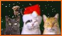 Cute Christmas Snow Cat Theme related image