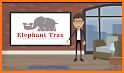 Elephant Trax related image