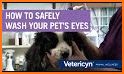 Vet Eye related image