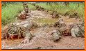 Army Sniper School related image