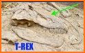 Dinosaur Bones Hunter related image