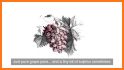 Raisin : The Natural Wine App related image