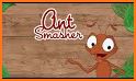 Ant smasher : kids games related image