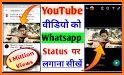 Welike - Status Download Video Share & Video Maker related image