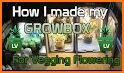 GrowBox related image