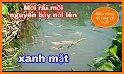 Điểm Câu related image