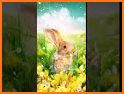 Easter Bunny Live wallpaper related image