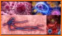 Virus Evolution - Merge & Create Mutant Diseases related image