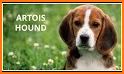 Dog Breeds Profile related image