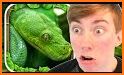 Reptile Simulator related image