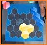 Hexa Puzzle PRO 2020: Jigsaw 3D Block Puzzle Games related image