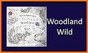 Coloring Book 27: Woodland Animals related image