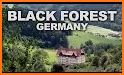 Black Forest related image