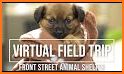 Virtual Animal Shelter Buddies related image