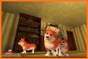 Corgi Dog Simulator related image