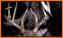 Deer Hunters MoonGuide 3.0 related image