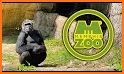 The Memphis Zoo related image