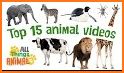 Kindergarten : animals related image